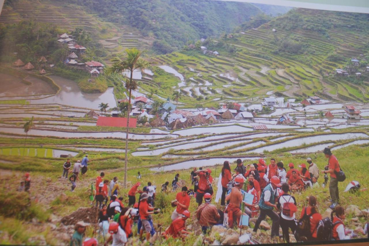 Banaue Evergreen Hostel And Restaurant 外观 照片